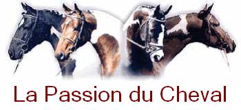 cheval-passion