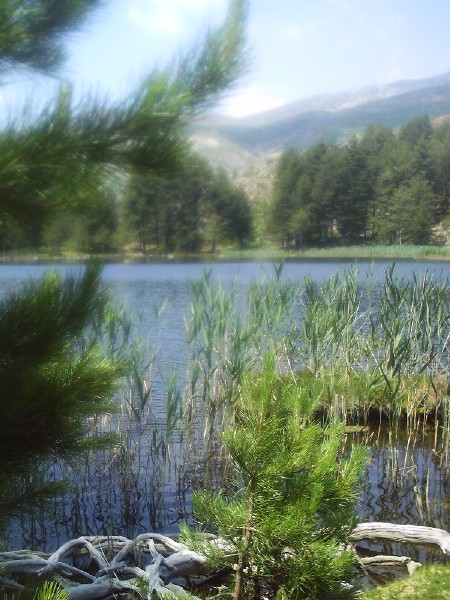 Lac Creno2
