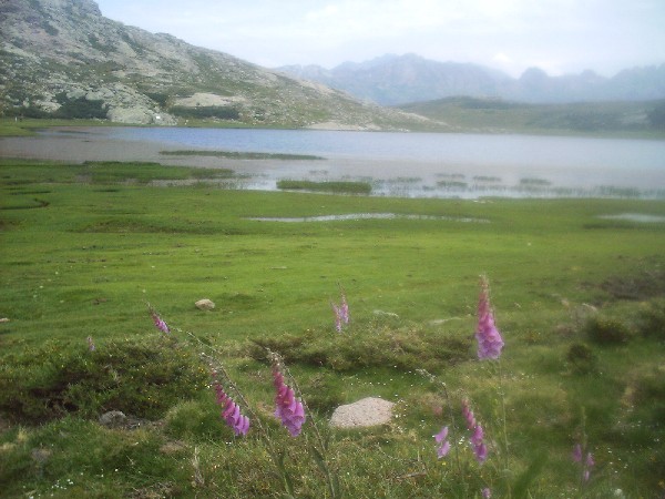 Lac Nino2