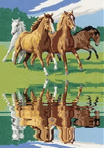 reflet chevaux